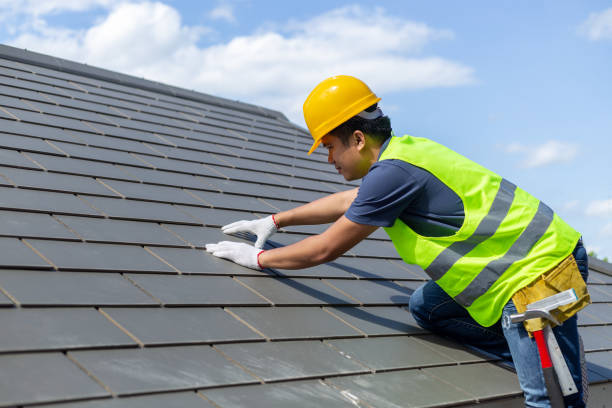 Best Local Roofing Companies  in Parker, TX