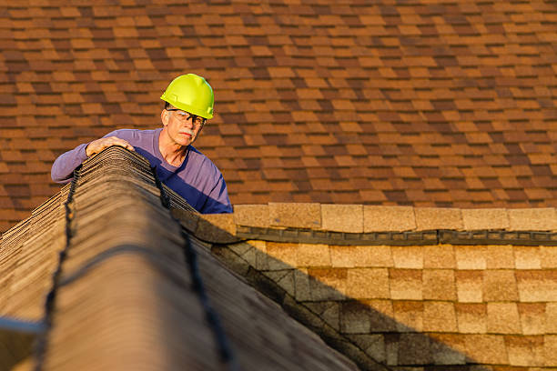 Roof Gutter Cleaning in Parker, TX